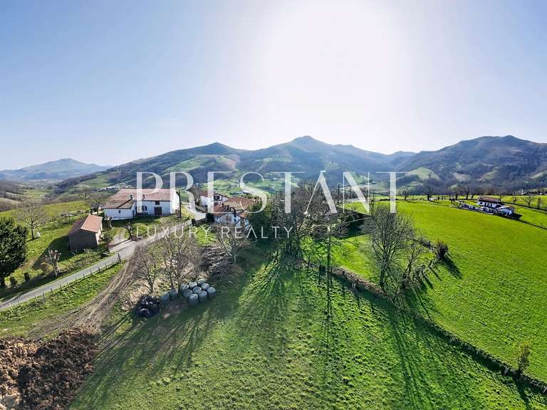 Maison Espelette - 6 chambres - 311m²