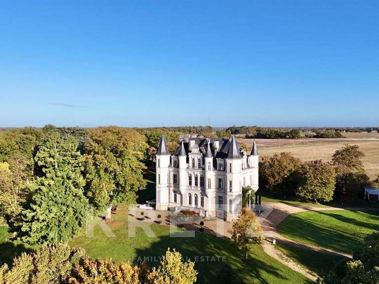 Castle Esvres - 37 bedrooms - 1526m²