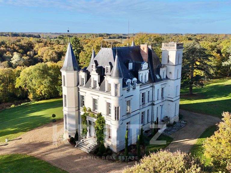 Castle Esvres - 37 bedrooms - 1526m²