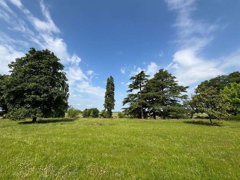 Maison Esvres - 7 chambres - 515m²