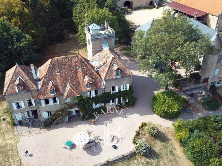 Sale Castle Étang-sur-Arroux - 11 bedrooms