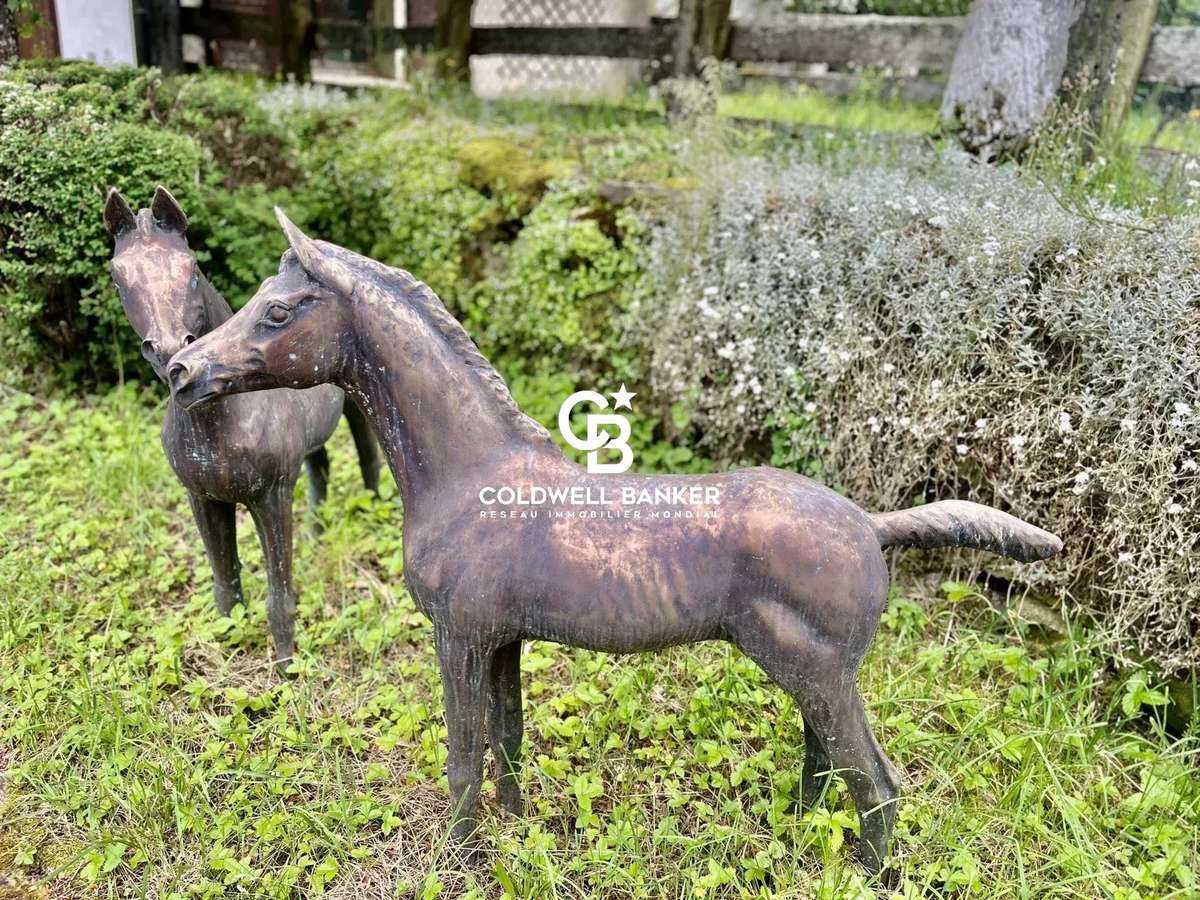 Equestrian property Évires