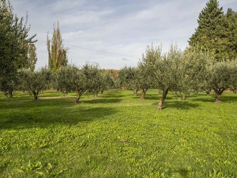 House Eygalières - 7 bedrooms - 280m²