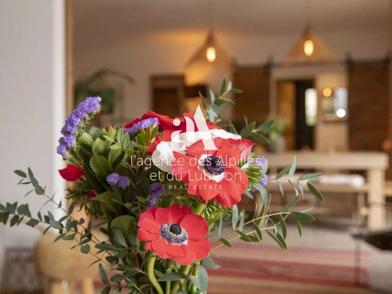 Maison Eygalières - 3 chambres - 2000m²