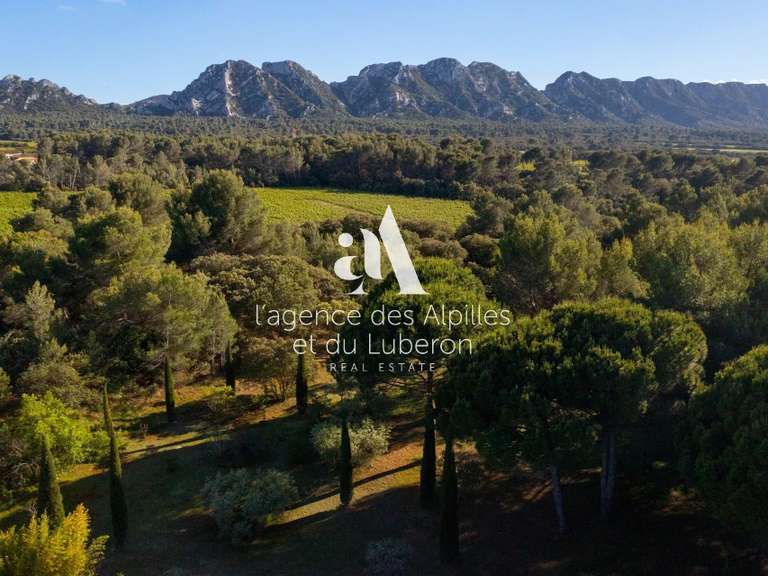 Maison Eygalières - 6 chambres - 50000m²