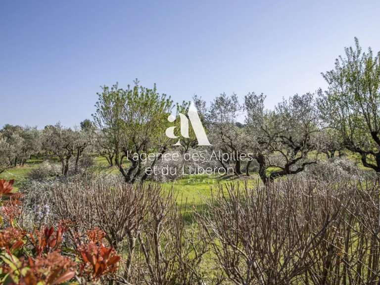 Maison Eygalières - 4 chambres - 270m²