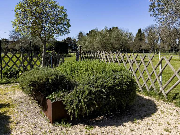 Maison Eygalières - 7 chambres - 500m²