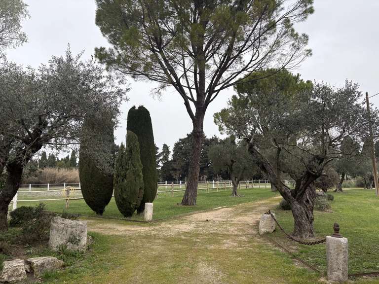 Maison Eygalières - 7 chambres - 500m²