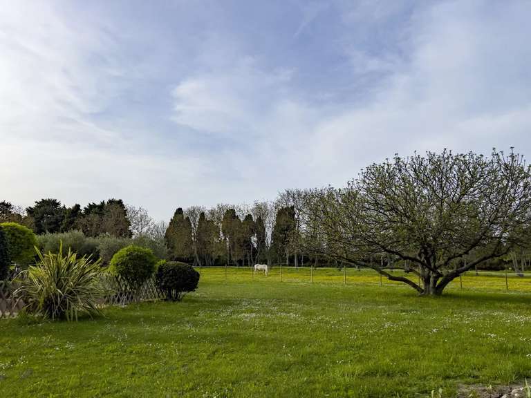 Maison Eygalières - 7 chambres - 500m²