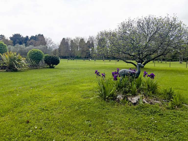 Maison Eygalières - 7 chambres - 500m²