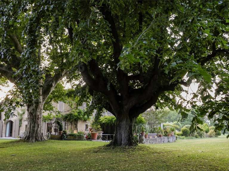 Maison Eygalières - 7 chambres - 500m²