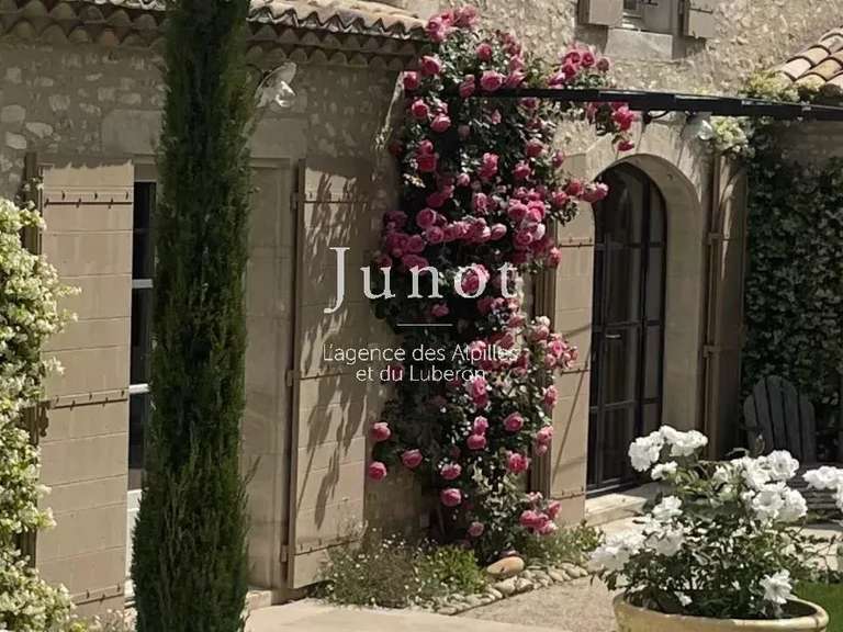 House Eygalières - 3 bedrooms - 1000m²