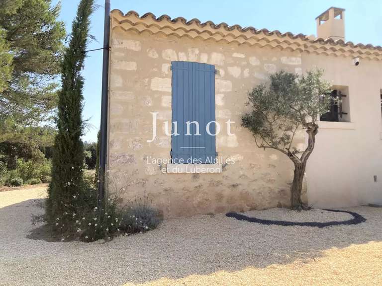 House Eygalières - 5 bedrooms - 11000m²