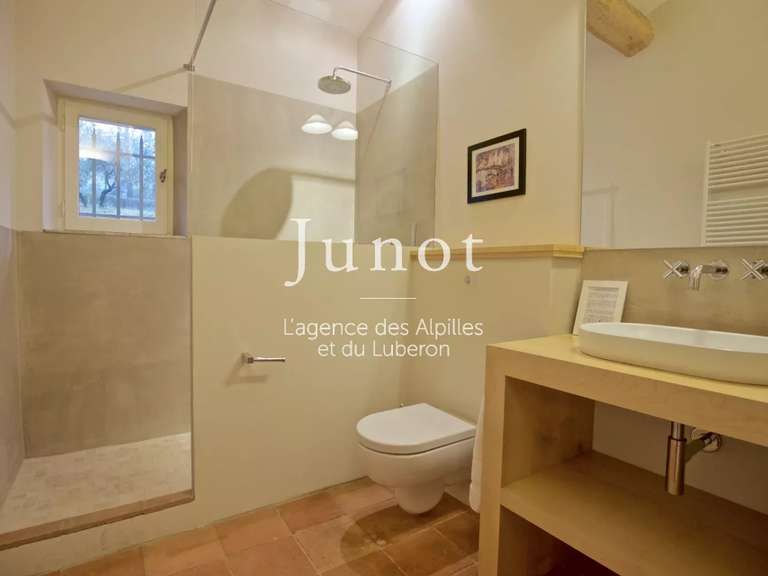 House Eygalières - 5 bedrooms - 10000m²