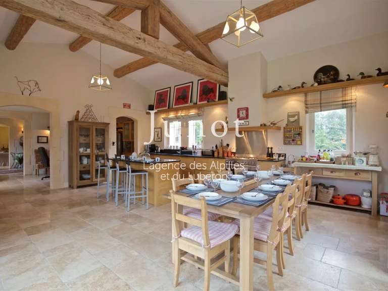 House Eygalières - 5 bedrooms - 10000m²
