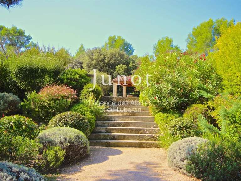 House Eygalières - 5 bedrooms - 10000m²