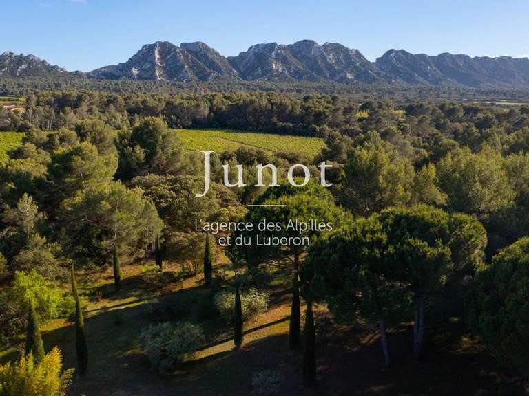 House Eygalières - 6 bedrooms - 50000m²