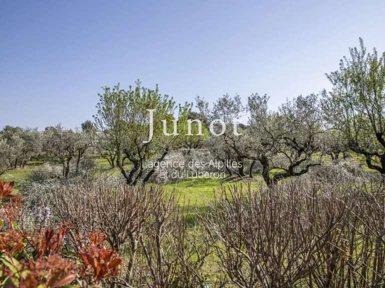 House Eygalières - 4 bedrooms - 270m²