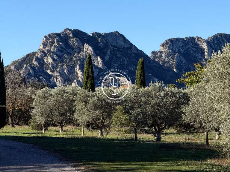 Villa Eygalières - 5 chambres - 270m²