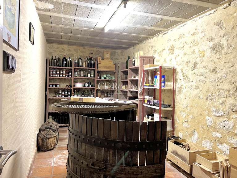 House Eymet - 7 bedrooms - 449m²