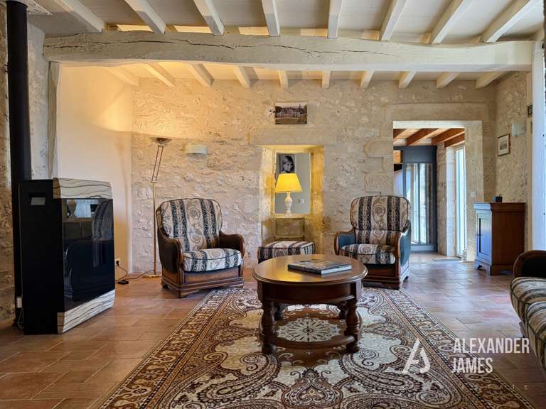 House Eymet - 7 bedrooms - 351m²