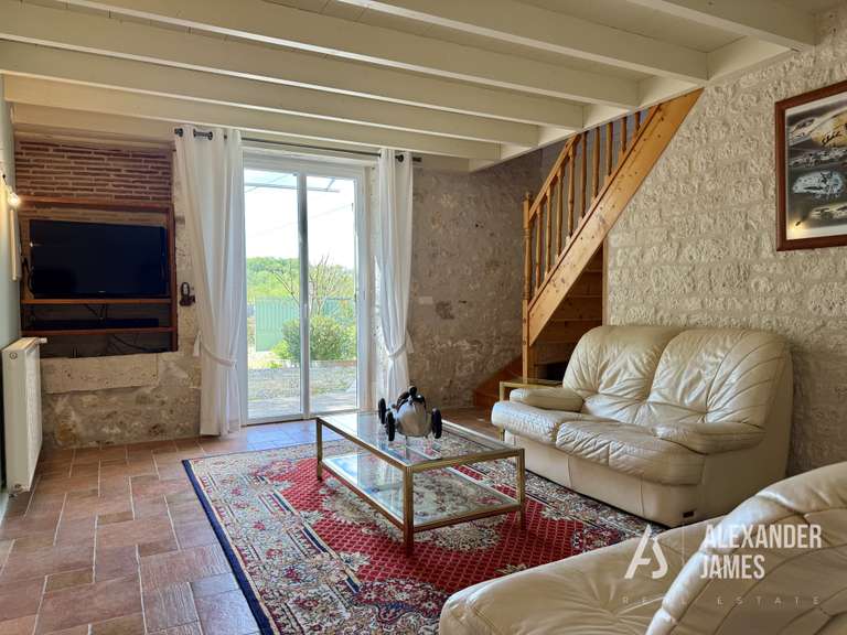 House Eymet - 7 bedrooms - 351m²