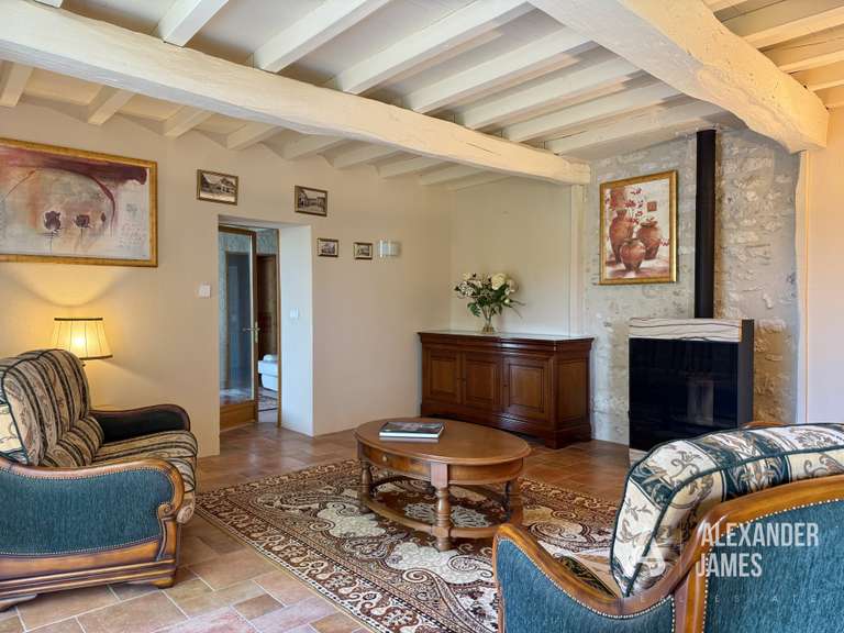 House Eymet - 7 bedrooms - 351m²