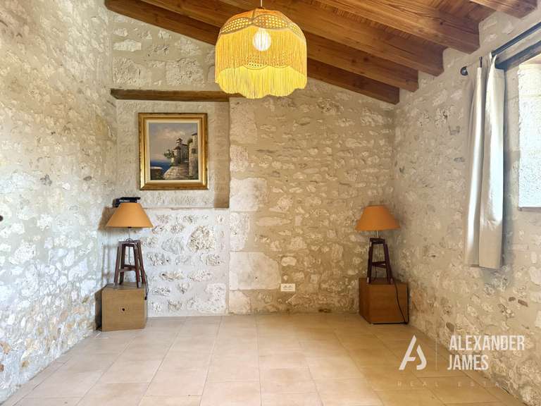 House Eymet - 7 bedrooms - 351m²