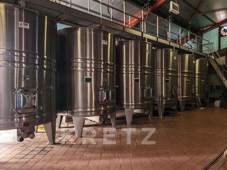 Château Eynesse - 24 chambres - 1300m²