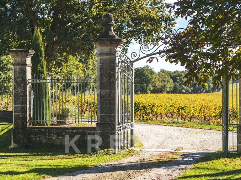 Château Eynesse - 24 chambres - 1300m²