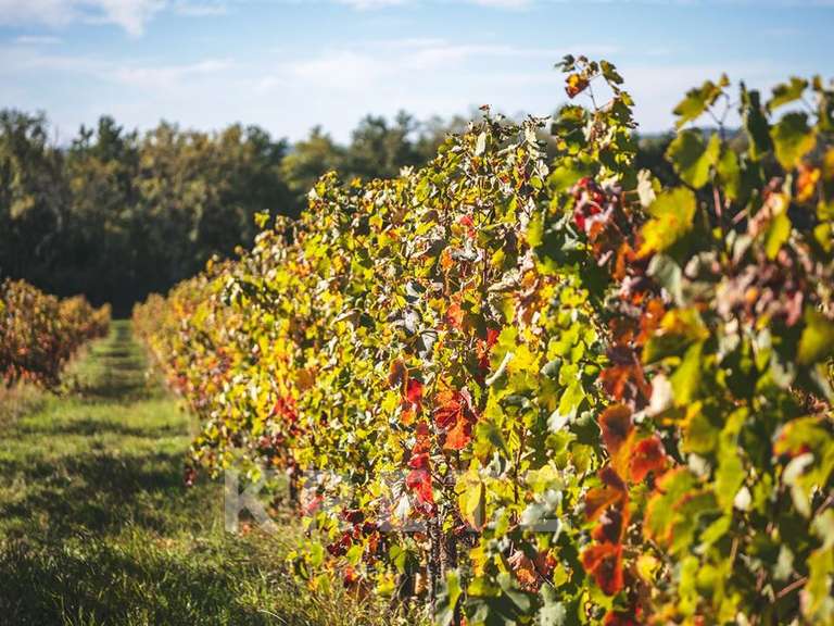 Château Eynesse - 24 chambres - 1300m²
