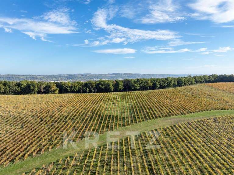 Château Eynesse - 24 chambres - 1300m²