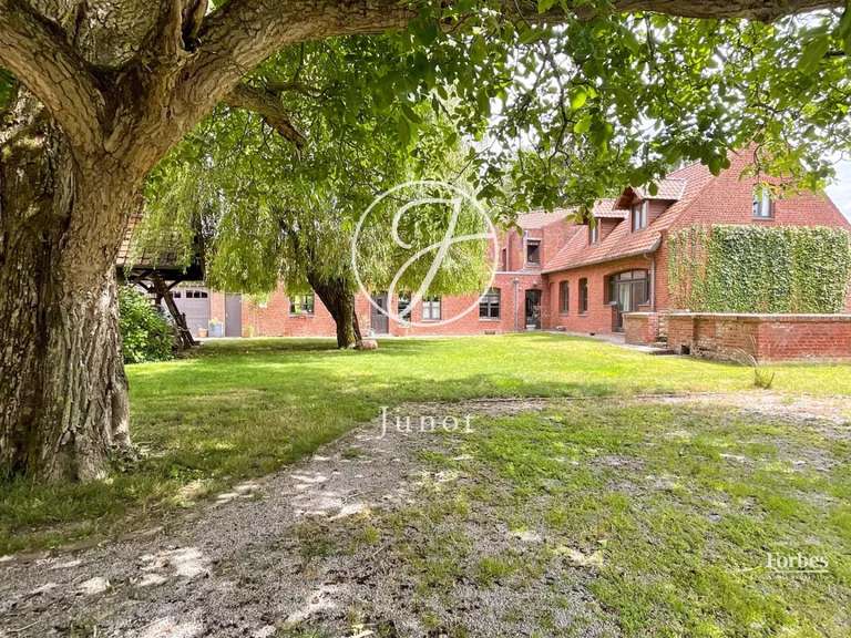 House Faches-Thumesnil - 4 bedrooms - 250m²