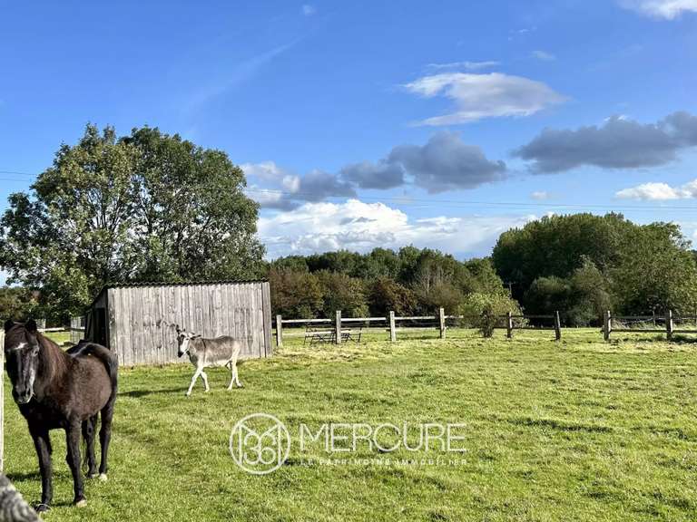 Maison Falaise - 4 chambres - 232m²