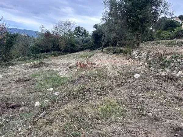 Terrain Falicon - 18876m²