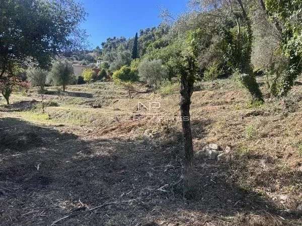 Terrain Falicon - 18876m²