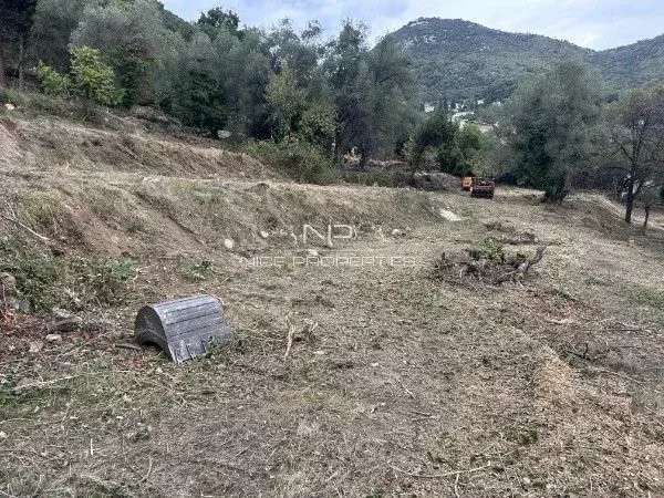 Terrain Falicon - 18876m²