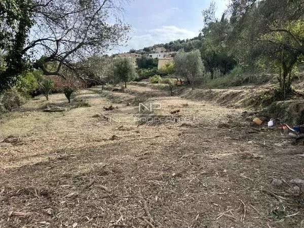 Land Falicon - 18876m²