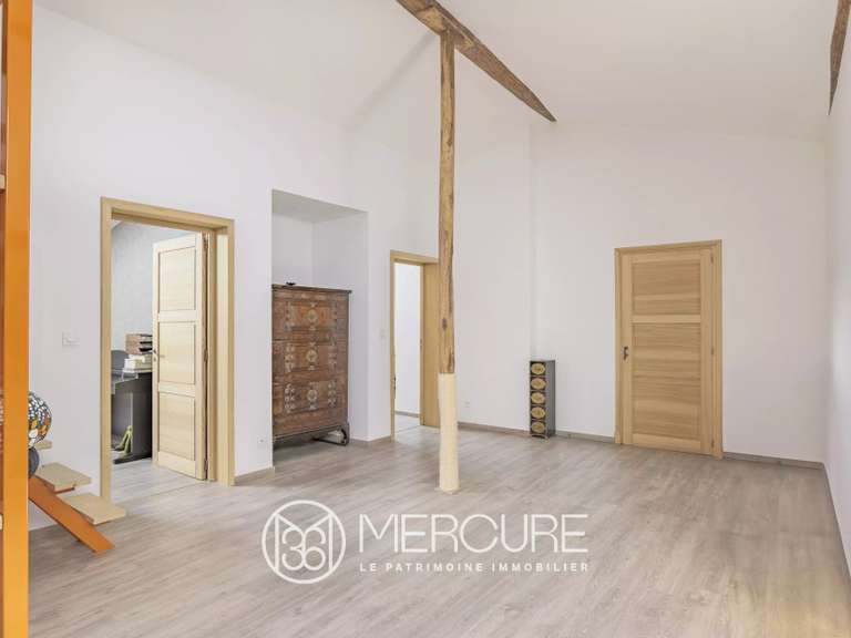 House Fanjeaux - 5 bedrooms - 350m²