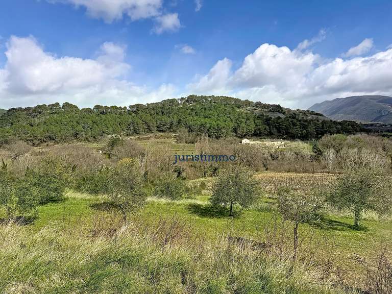 Maison Faucon - 5 chambres - 155m²