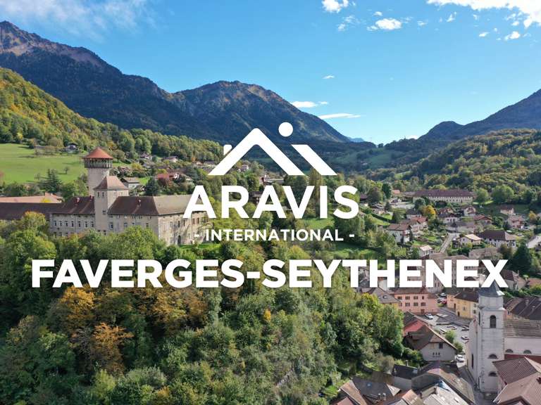 Maison Faverges-Seythenex - 4 chambres - 199m²