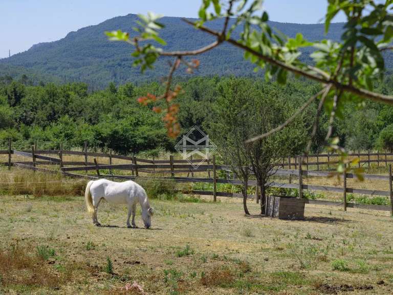 Maison Fayence - 7 chambres - 552m²