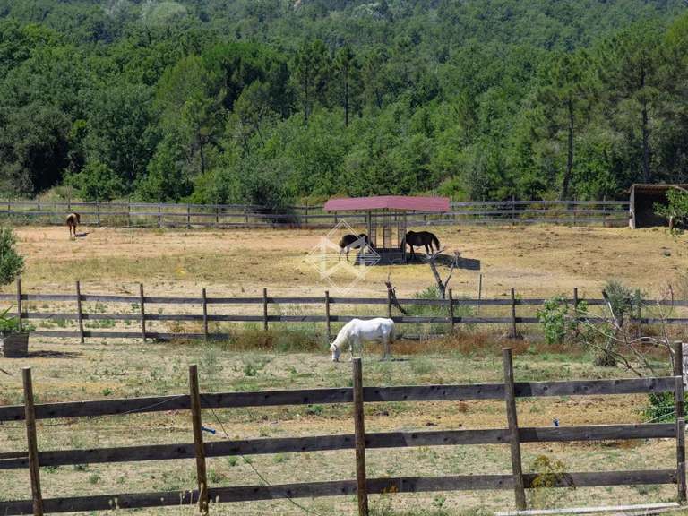 Maison Fayence - 7 chambres - 552m²