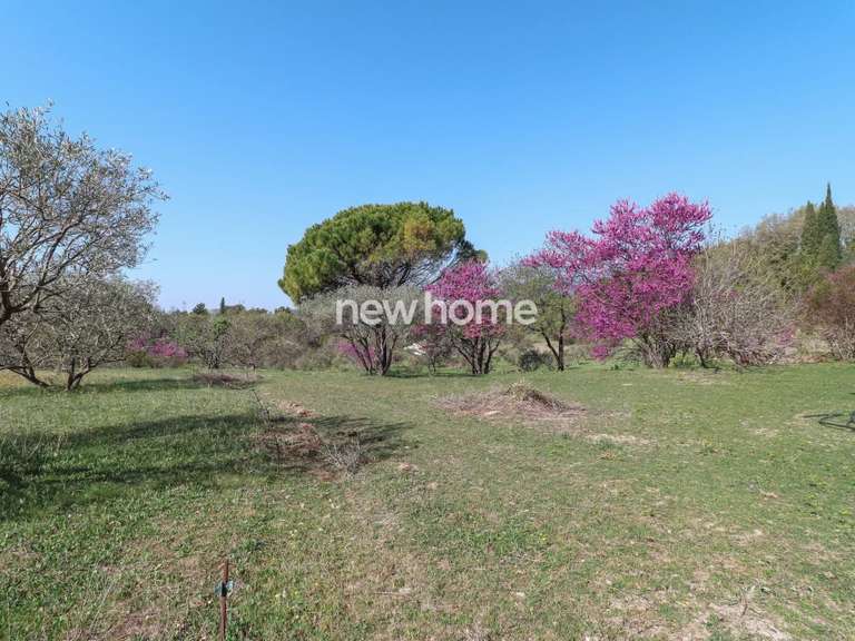 Maison Fayence - 8 chambres - 345m²