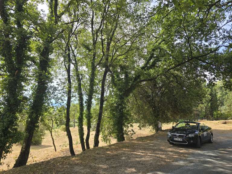 House Fayence - 8350m²