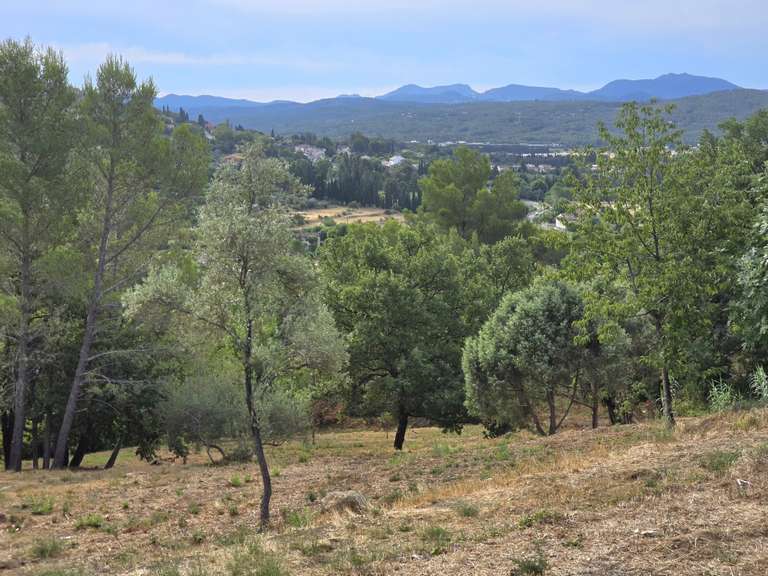 House Fayence - 8350m²