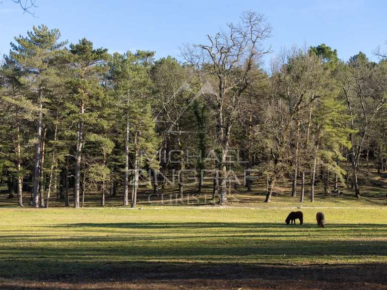 Propriété Fayence - 9 chambres - 842m²