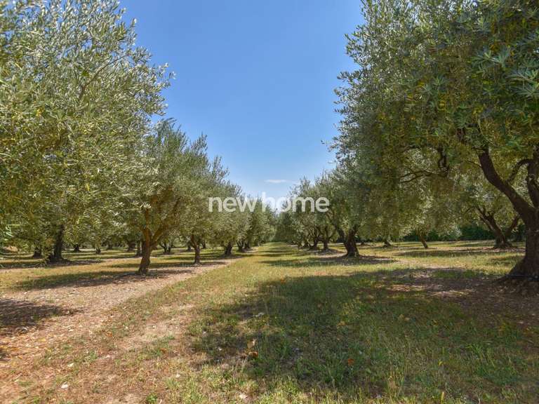 Property Fayence - 6 bedrooms - 440m²