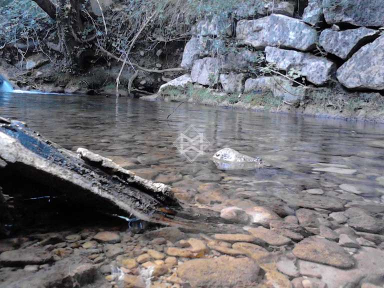 Villa Fayence - 5 chambres - 350m²