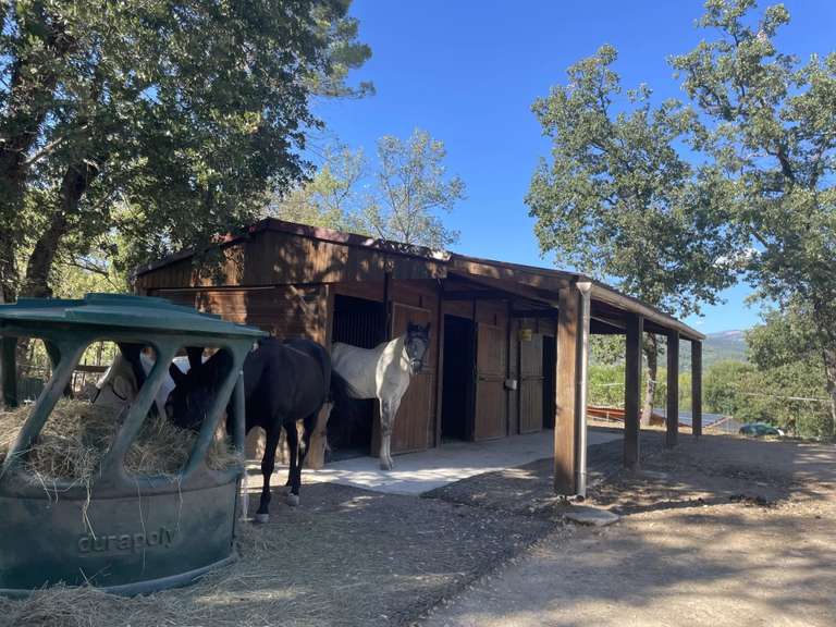 Villa Fayence - 4 chambres - 200m²